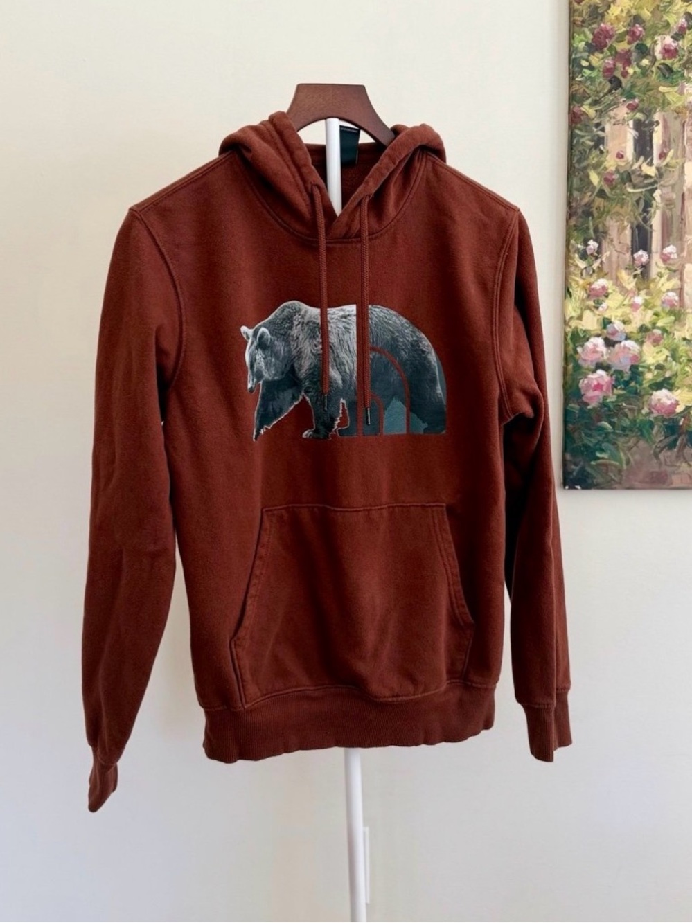 The North Face Men's Rust Brown Bear Graphic Hoodie